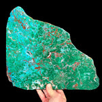 Chrysocolla and Malachite polished stone slice from Sandfire Mine Australia