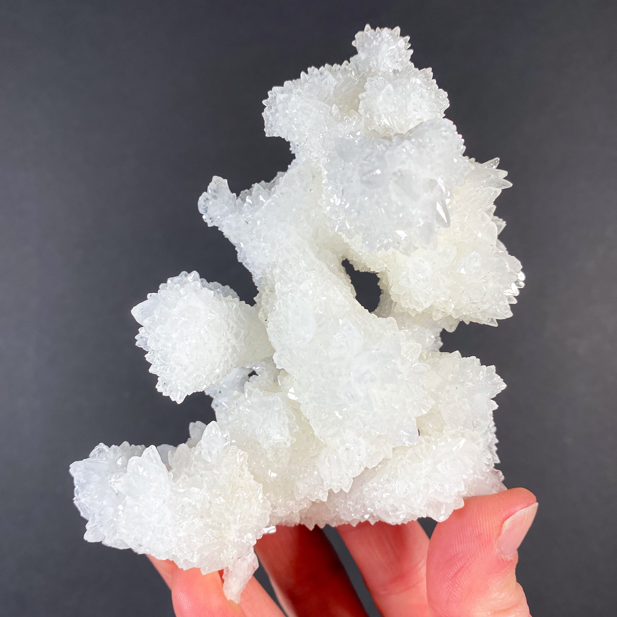 Aragonite deals