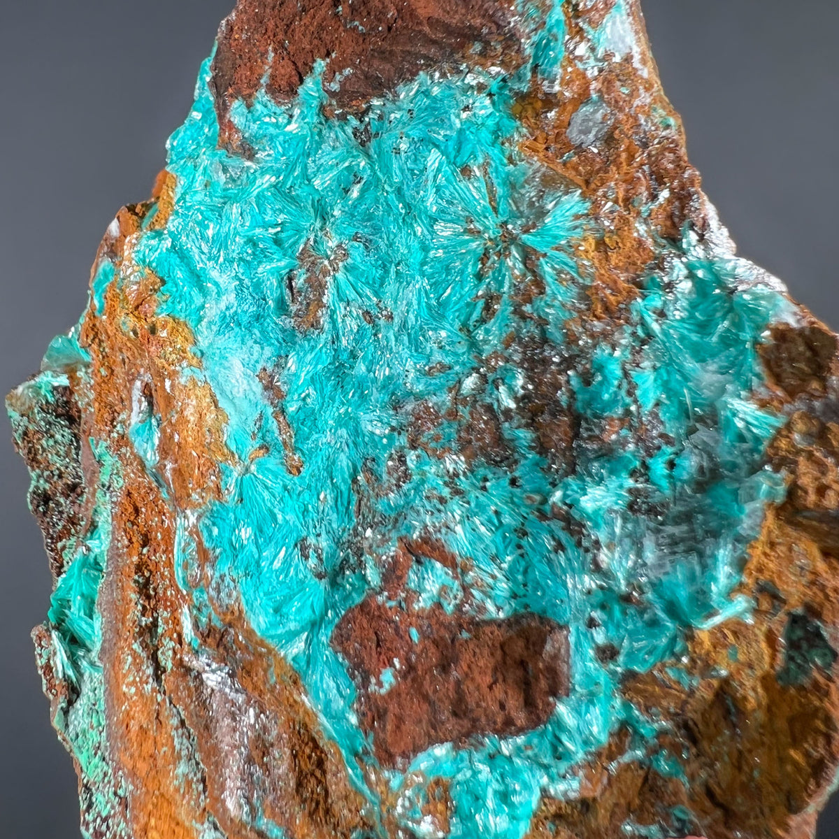 Fibrous teal blue green Aurichalcite Crystals 