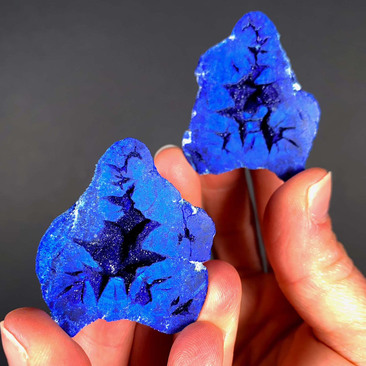 Blue Crystals of Azurite Inside Azurite &quot;Blueberry&quot;