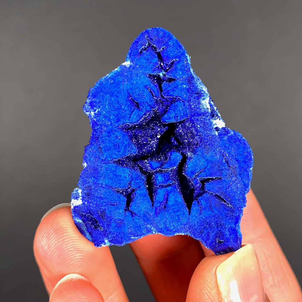 Blue Azurite Crystals Inside of a Russian Azurite &quot;Blueberry&quot;