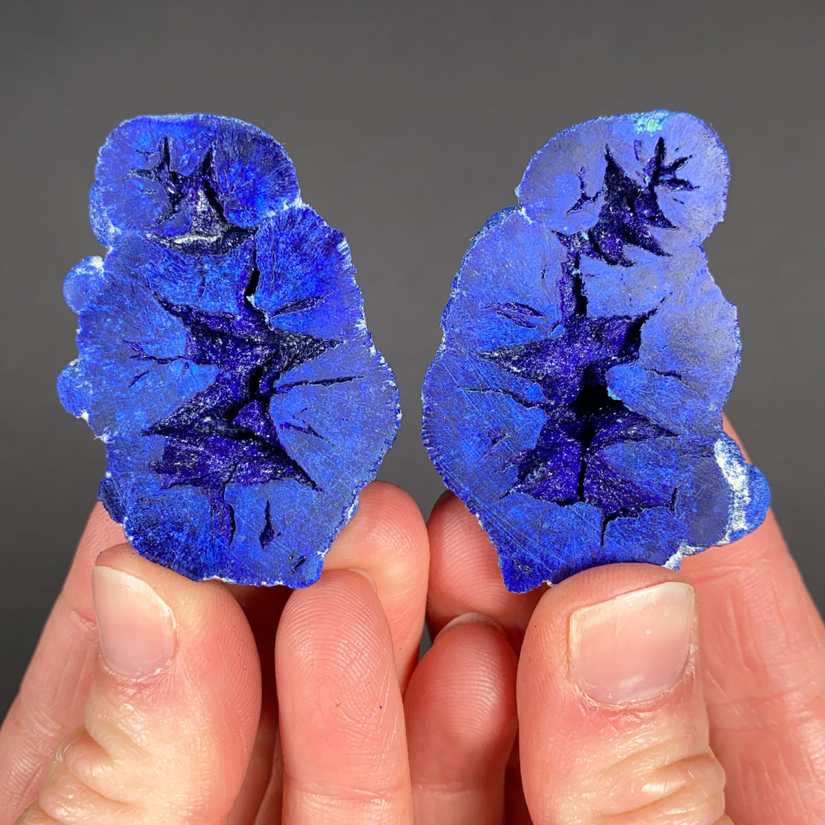 Azurite Nodule Cut Open To Show Blue Crystals Inside