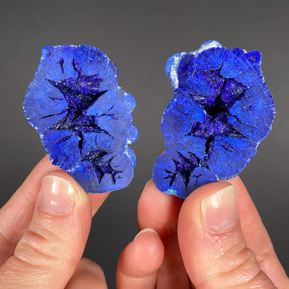 Pair of Azurite Blueberries from Russia