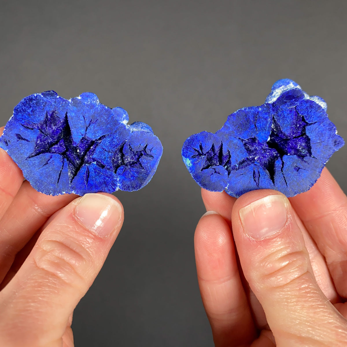 Inside of a Cut Azurite Geode