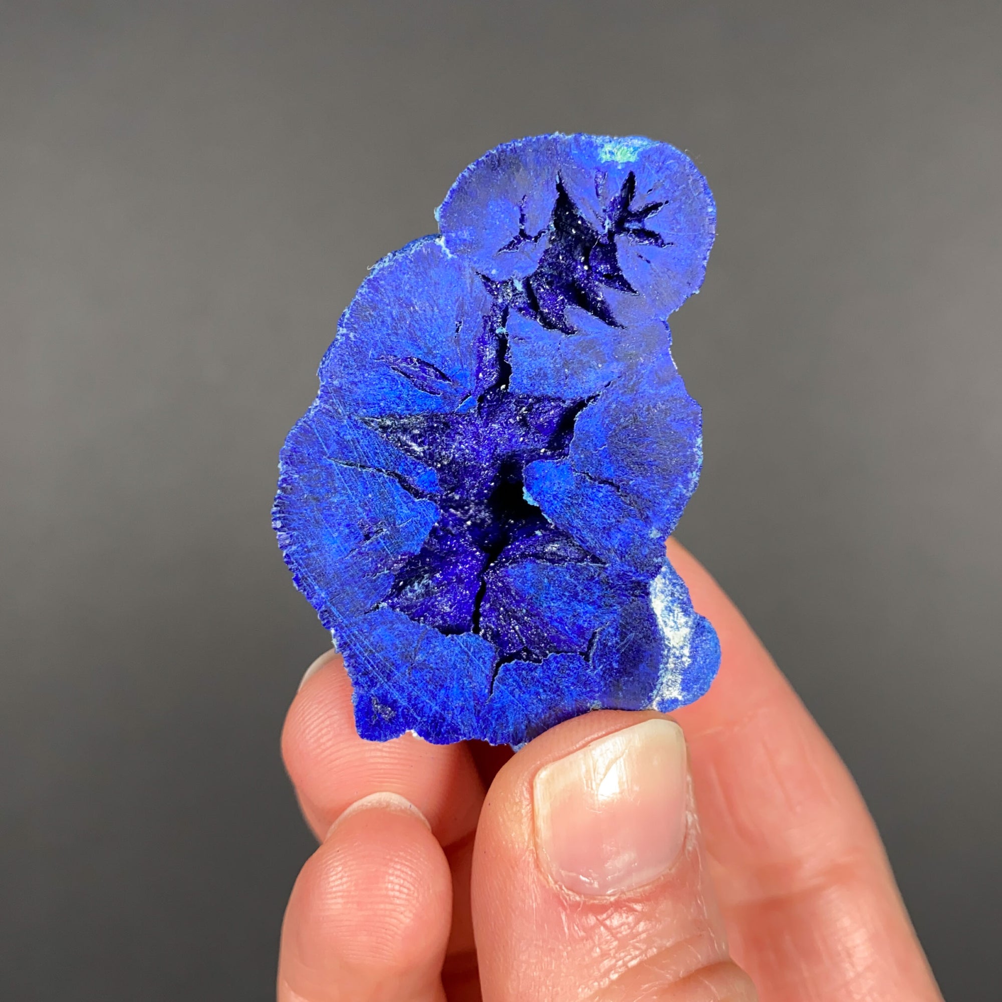 Azurite Nodule Cut Open To Show Blue Crystals Inside