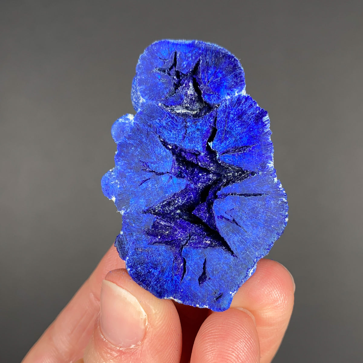 Interior of an Azurite Nodule with Crystals Inside