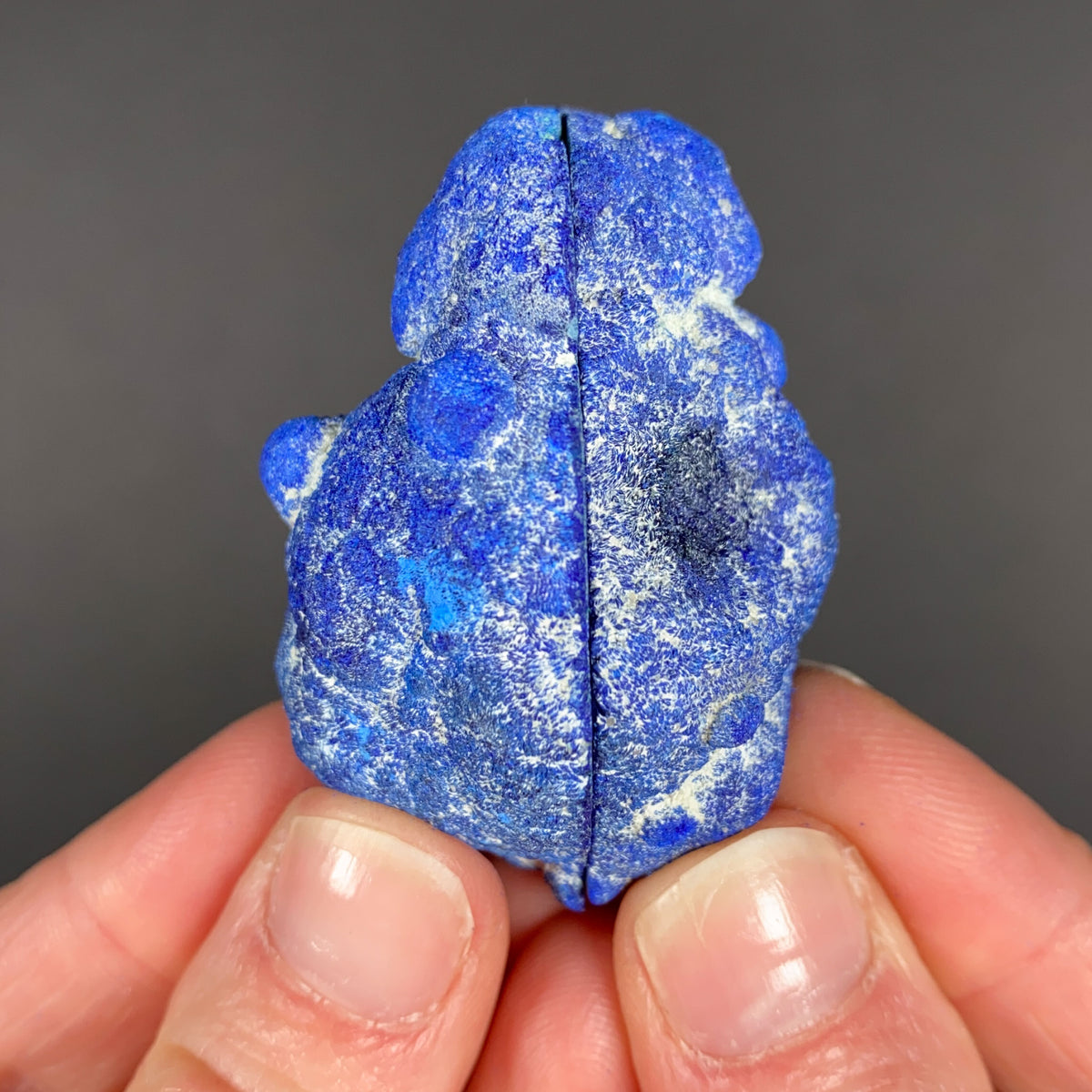 Exterior of an Azurite Blueberry