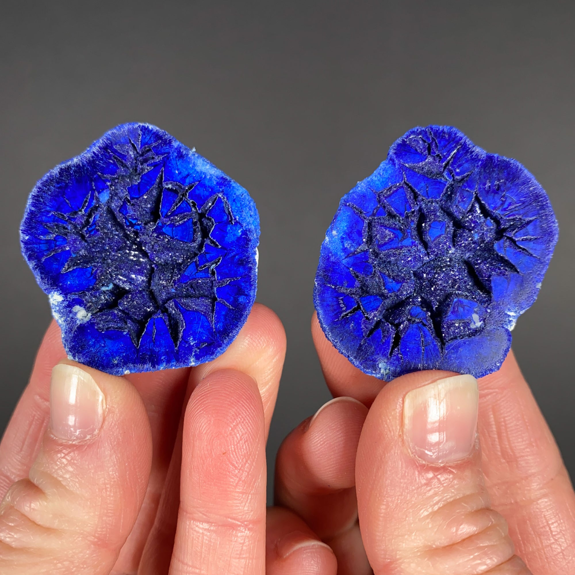 Azurite Geode with Blue Crystals Inside
