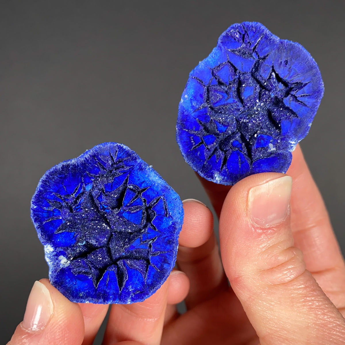 Azurite Blueberry Pair