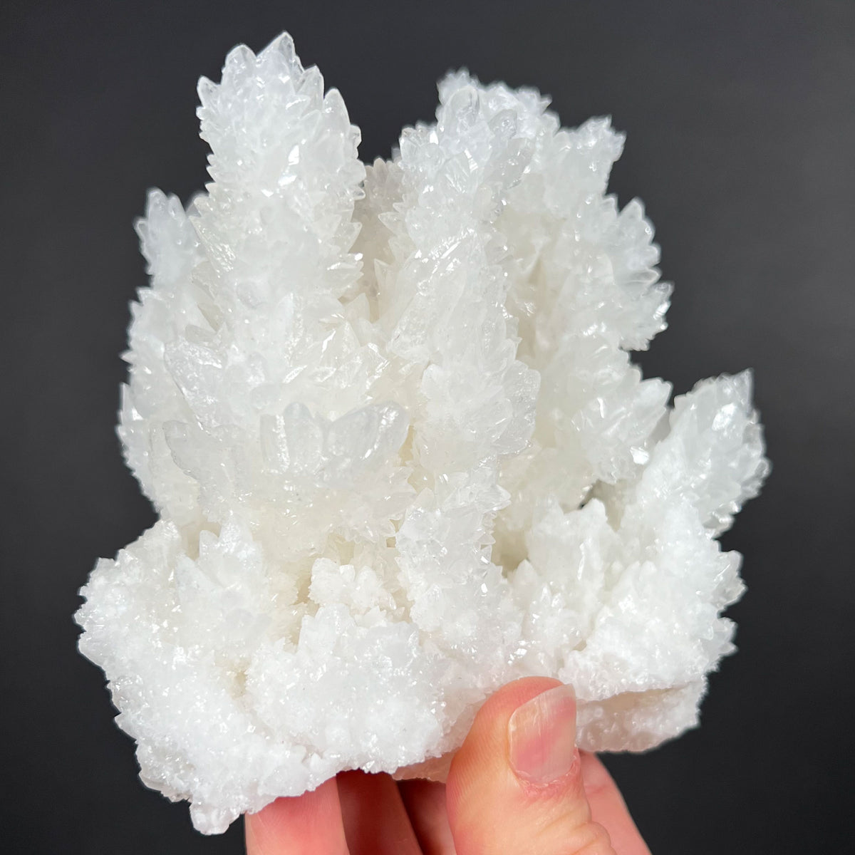 Crystals of Aragonite and Calcite