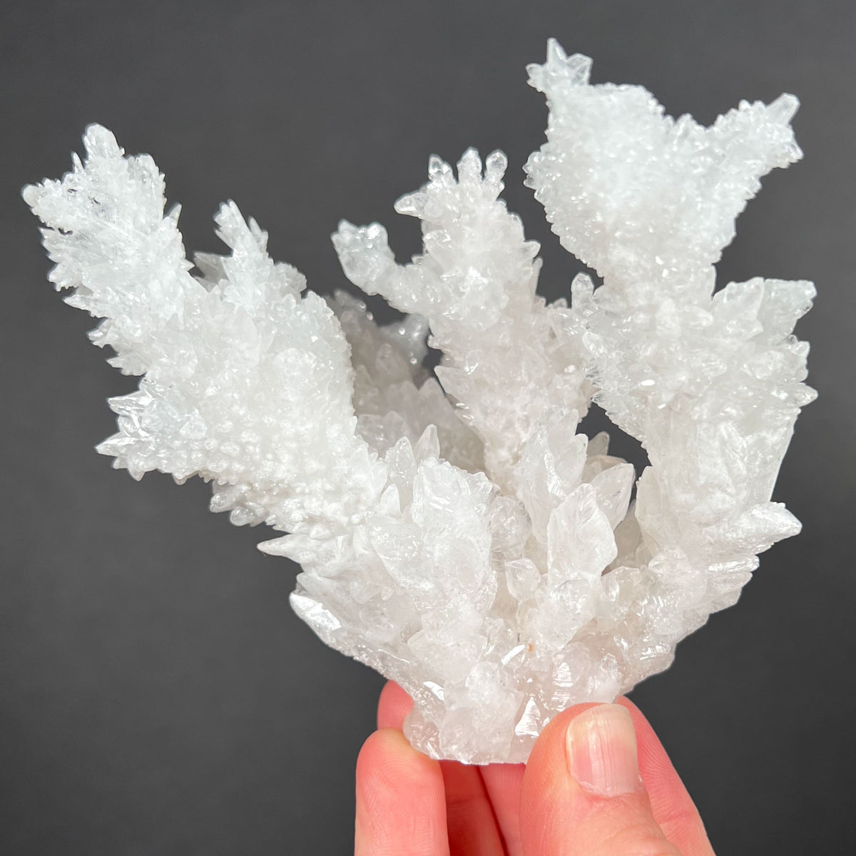 White Cave Calcite and Aragonite Crystals