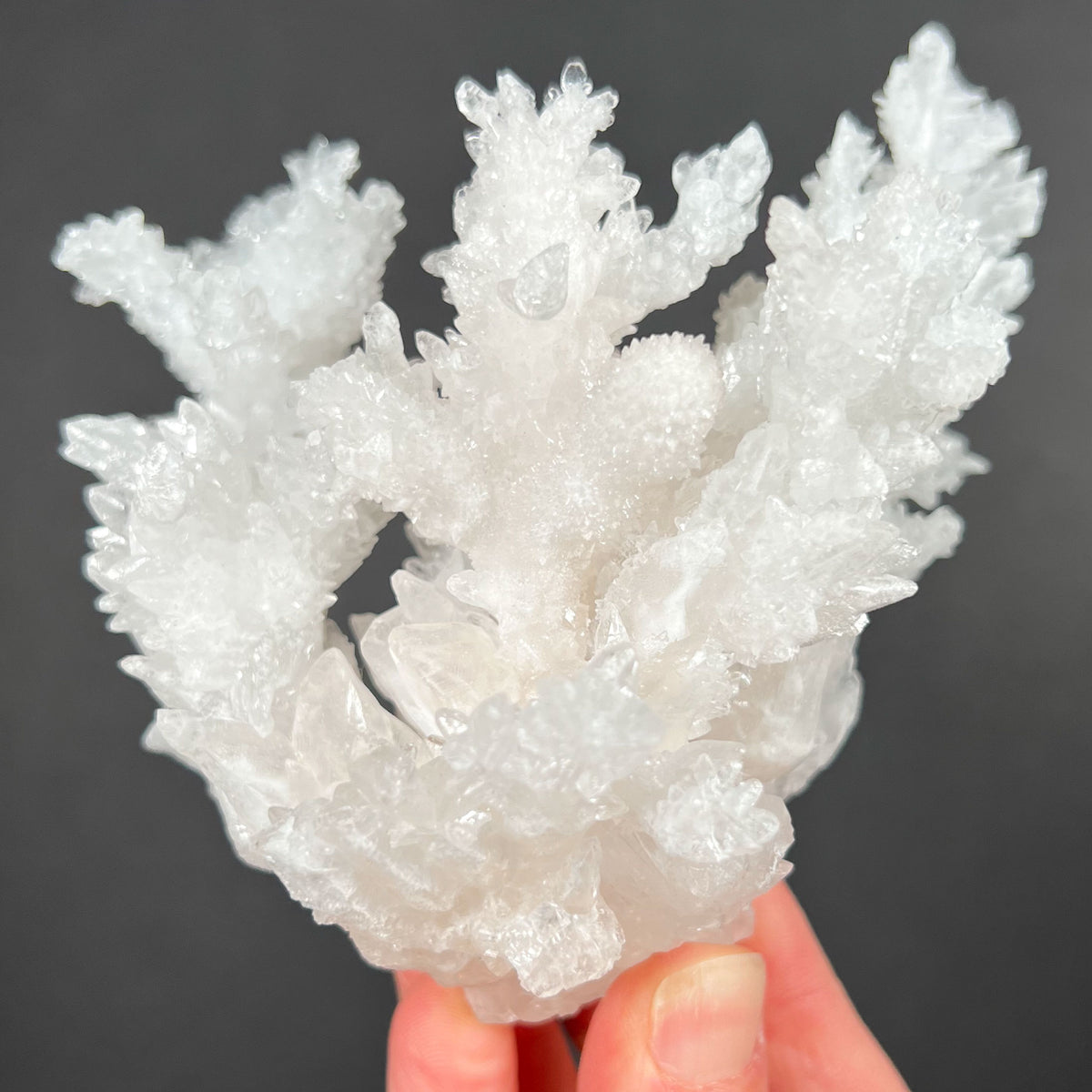Crystals of Aragonite and Calcite from Mexico