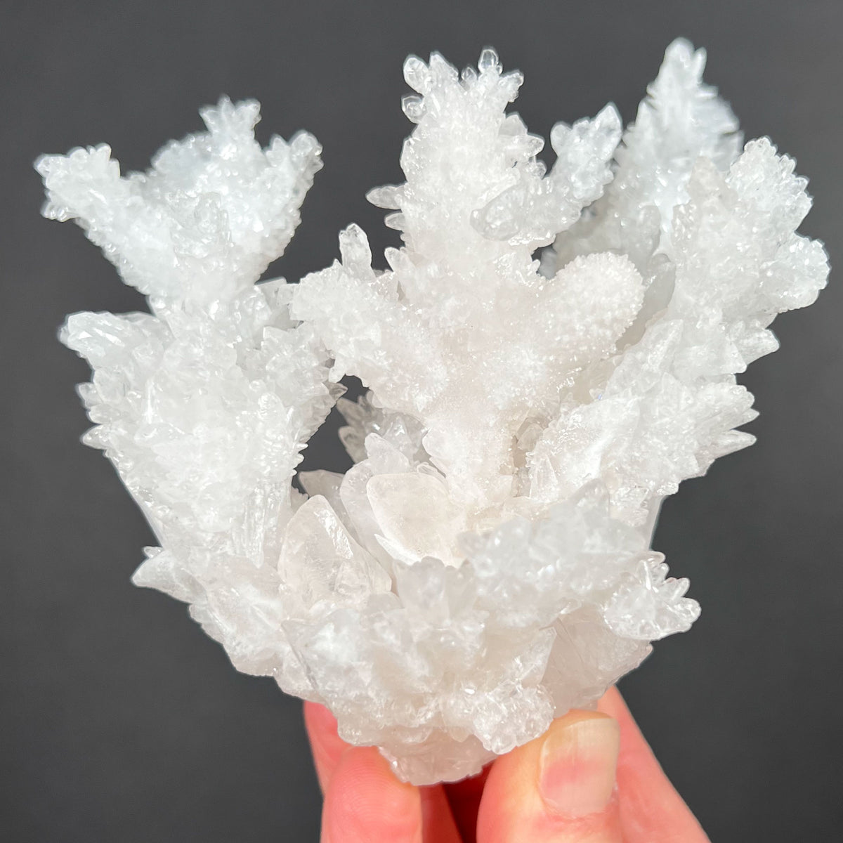 Crystalline Calcite and Aragonite