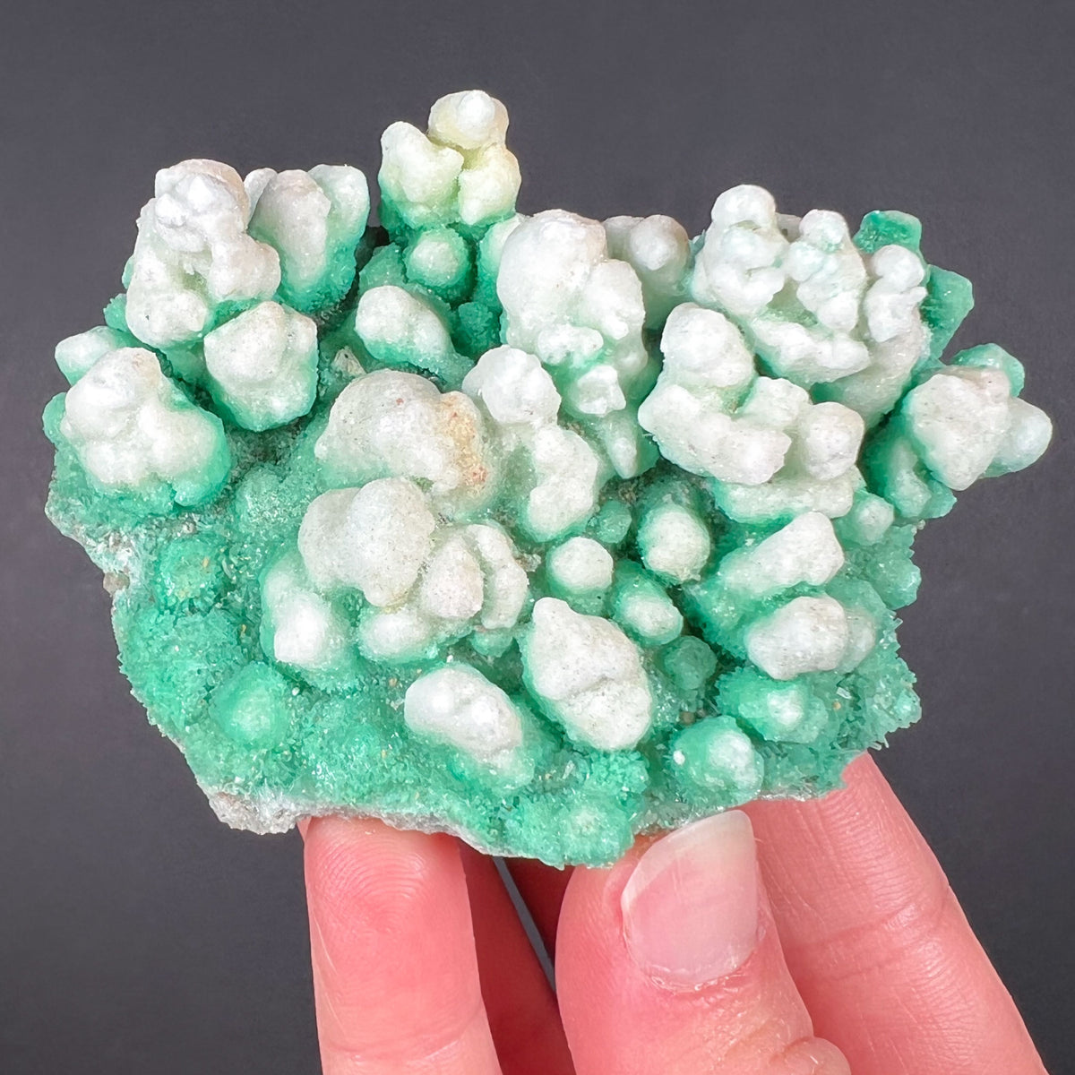 Green and White Selenite Crystals from Australia