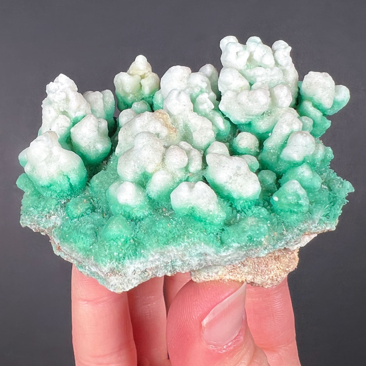 White and Green Selenite Crystals