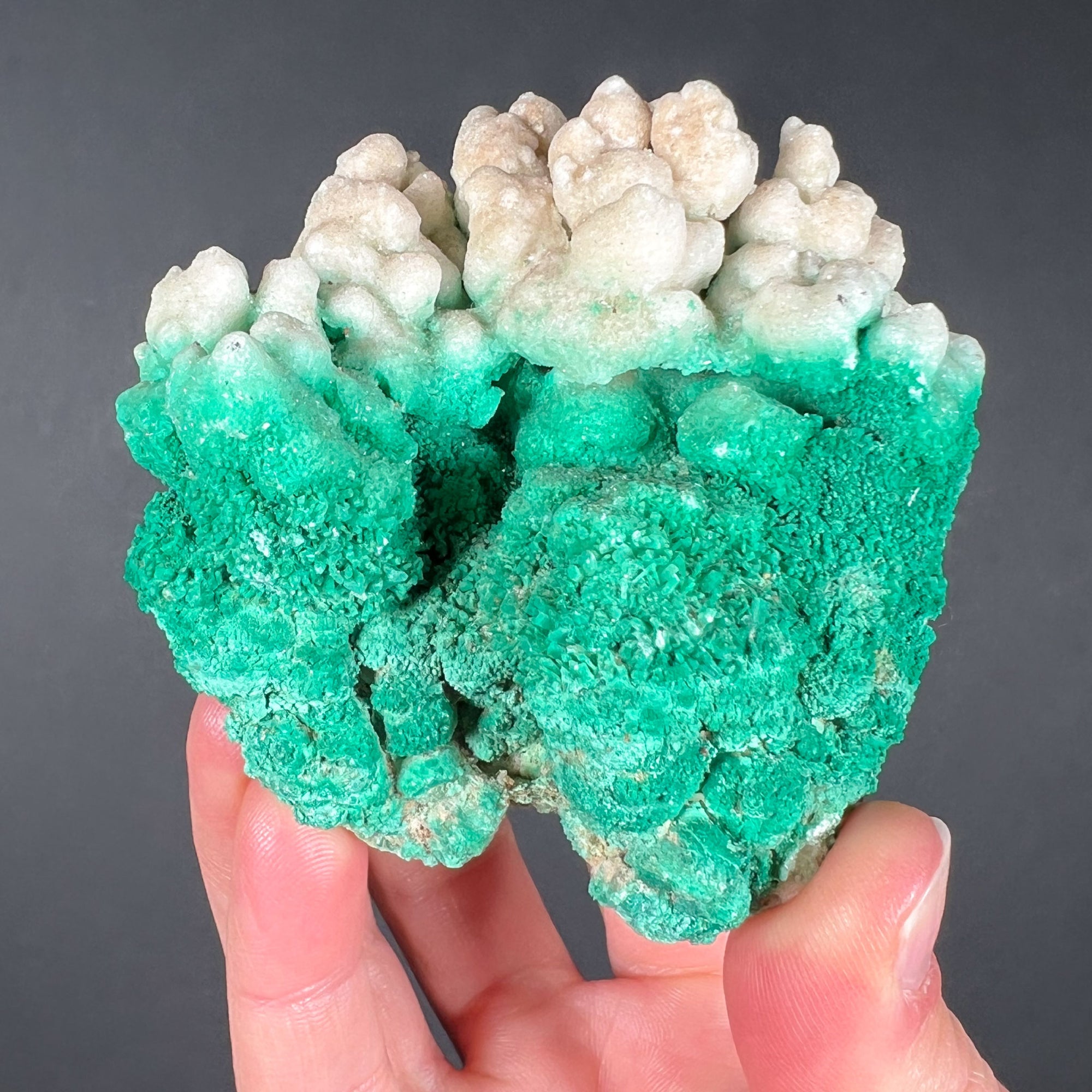 Green and White Crystals of Selenite Gypsum