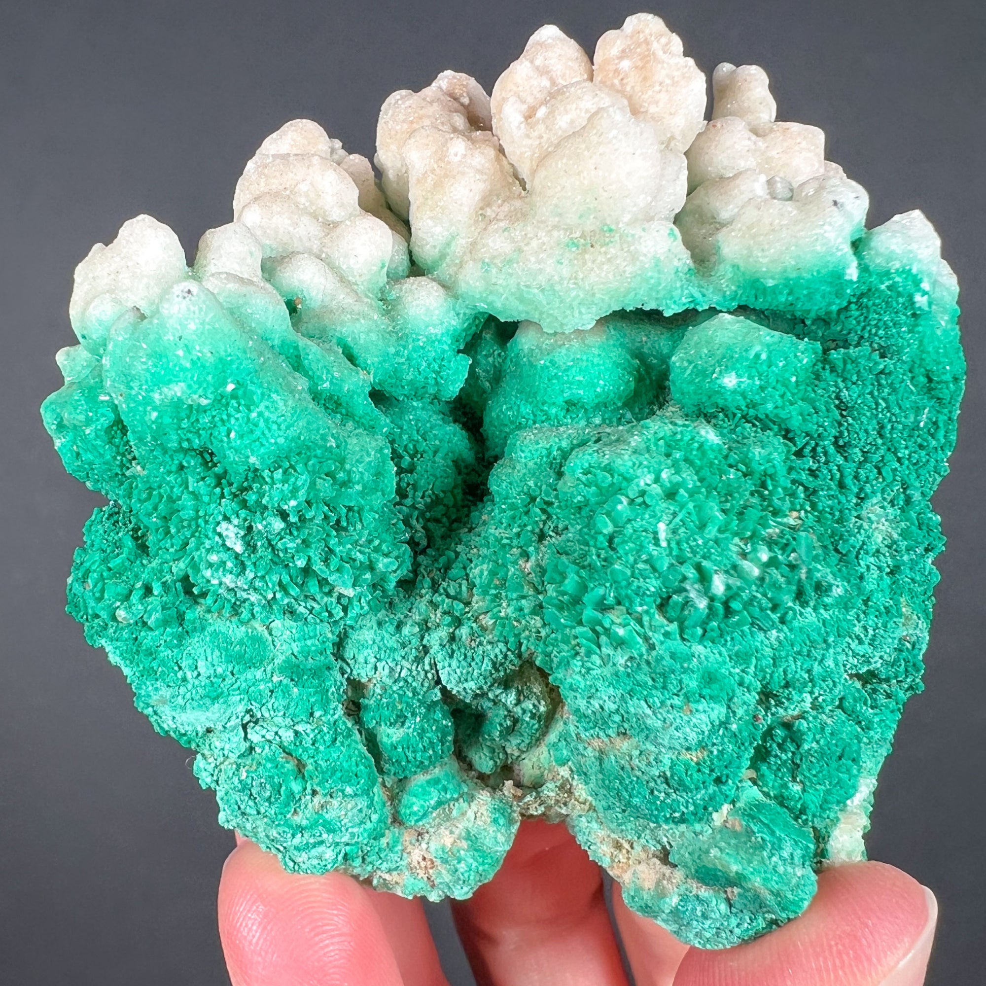 Green and White Crystals of Selenite Gypsum