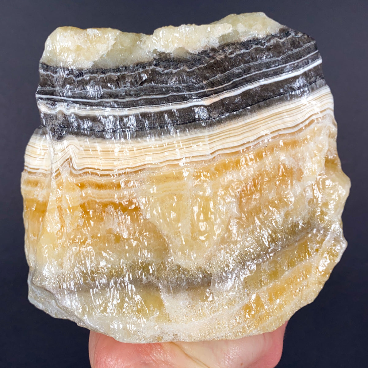 Yellow and Gold Calcite with Black and White Zebra Stripes