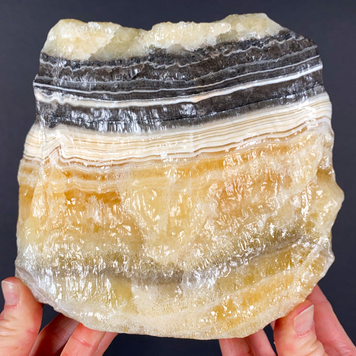 Raw Golden Calcite with White and Black Zebra Stripes
