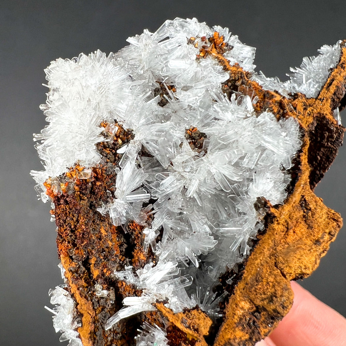 Hemimorphite Crystals in Limonite