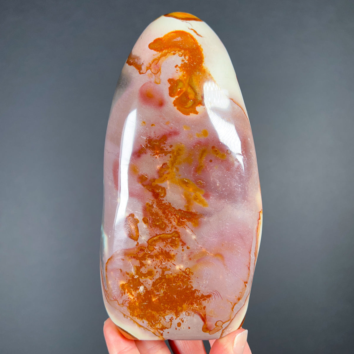 Cut and Polished Polychrome Jasper