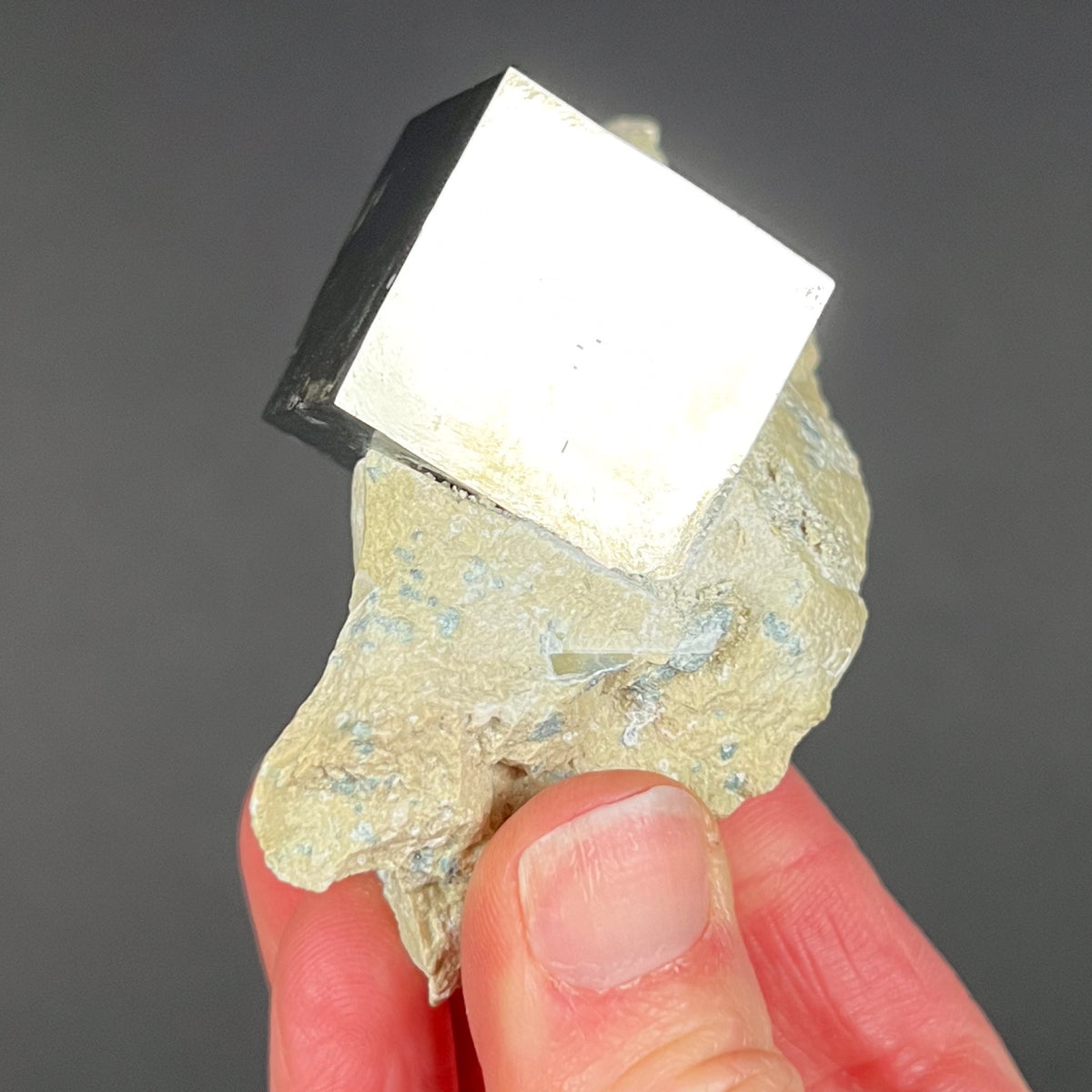 Single Cubic Pyrite Crystal on Matrix