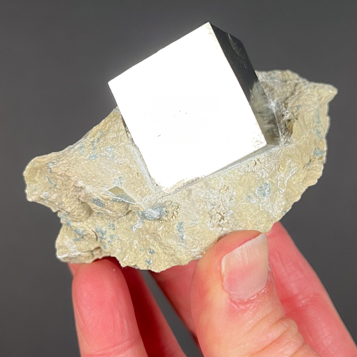 Natural Crystal Pyrite Cube on Matrix